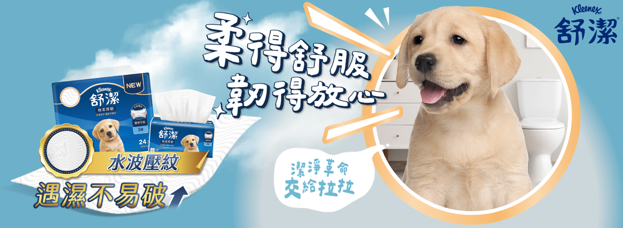 舒潔